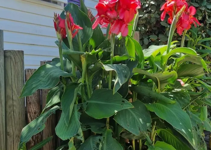 Mobil Home, Jacuzzi, Velos, Barbecue Et Et A 300m Campingplads Hyères