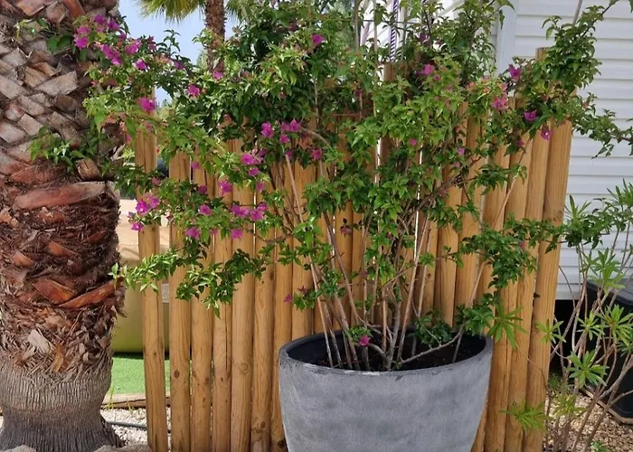 Mobil Home, Jacuzzi, Velos, Barbecue Et Et A 300m * Hyères