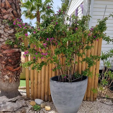 Mobil Home, Jacuzzi, Velos, Barbecue Et Et A 300m * 耶尔